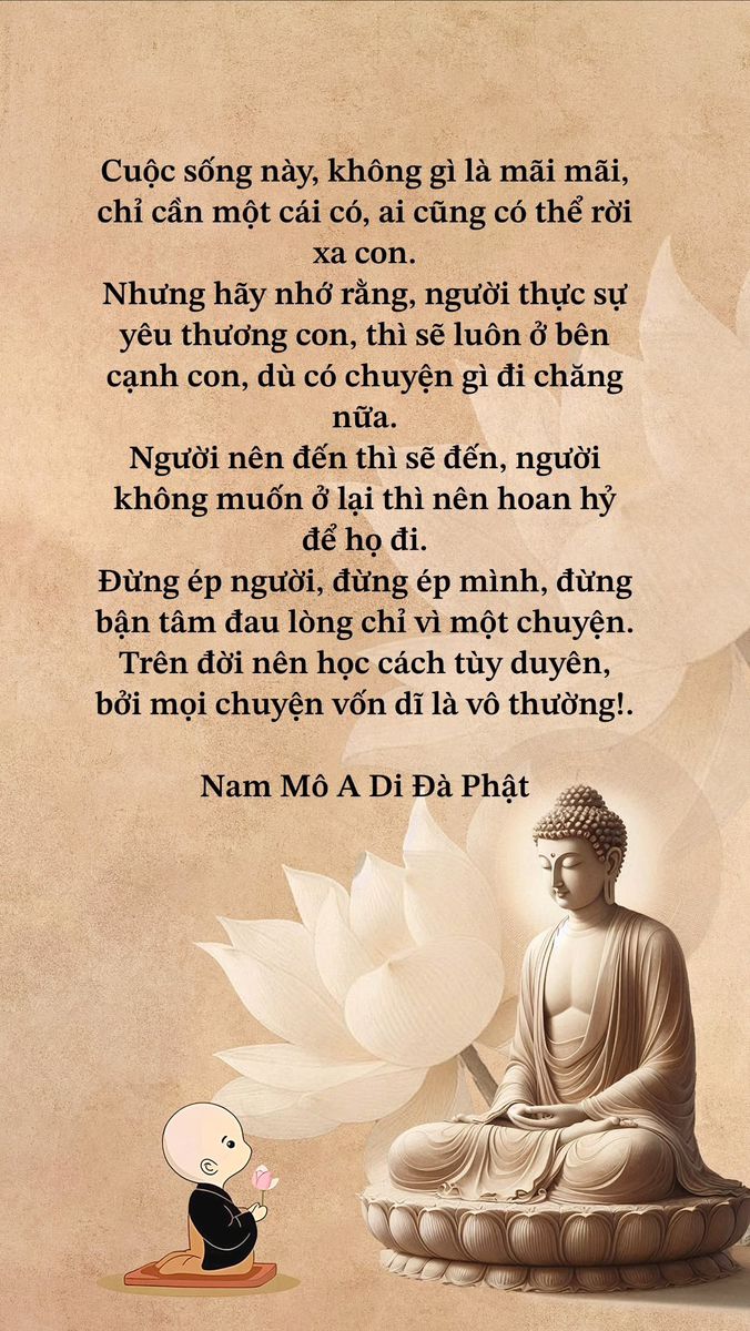 3ae9d118c836a2bb15e237d69ab4df45