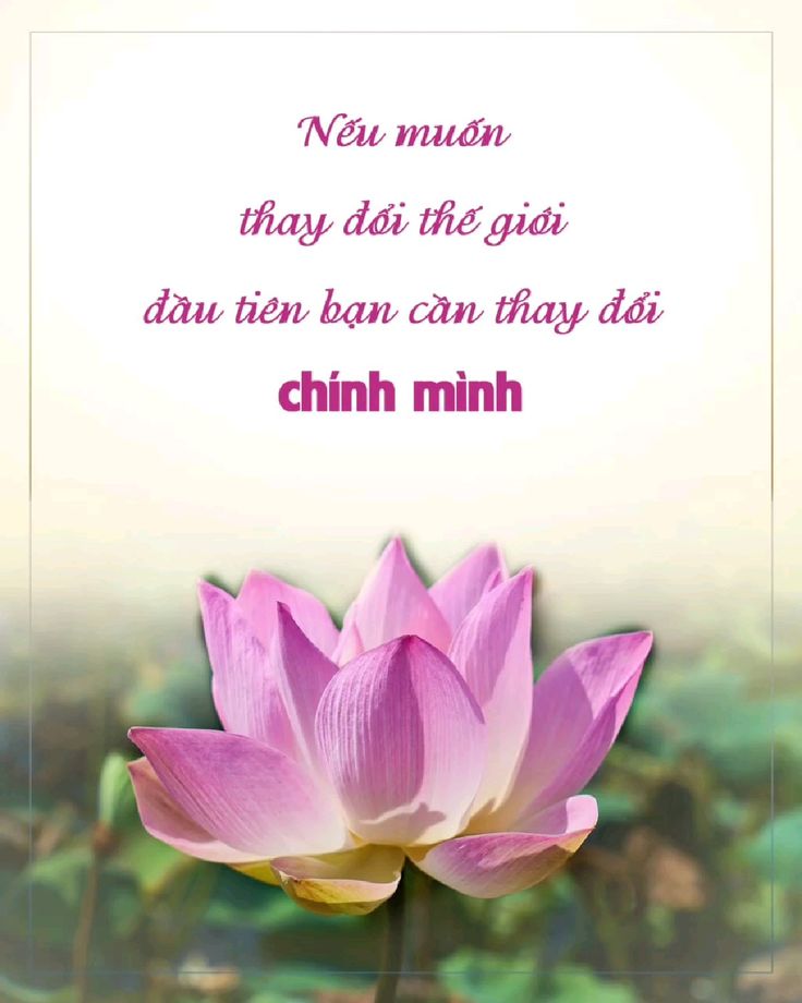 9f8765d1be86e5ec3140dae6c468c117