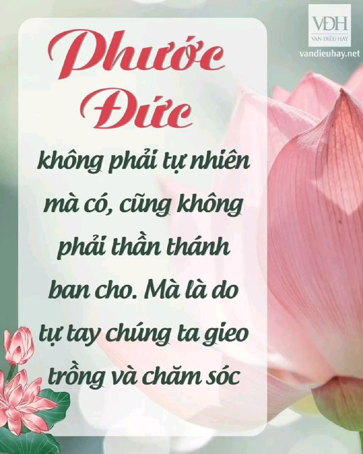 c58c529dd8a3e0d6ed04af8c7a0c6cd0